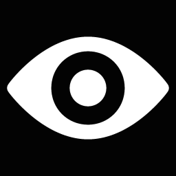 ShowIcon